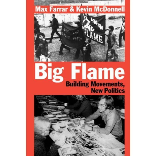 Book cover of: Big Flame
