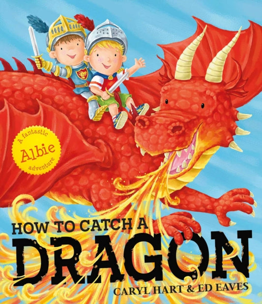 How To Catch a Dragon 9780857079596 Caryl Hart