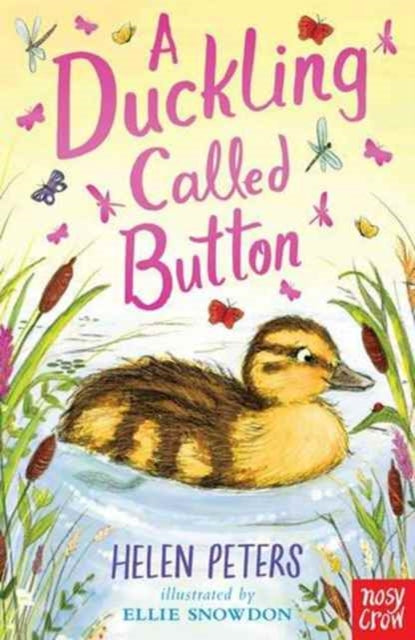 Duckling Called Button 9780857638366 Helen Peters