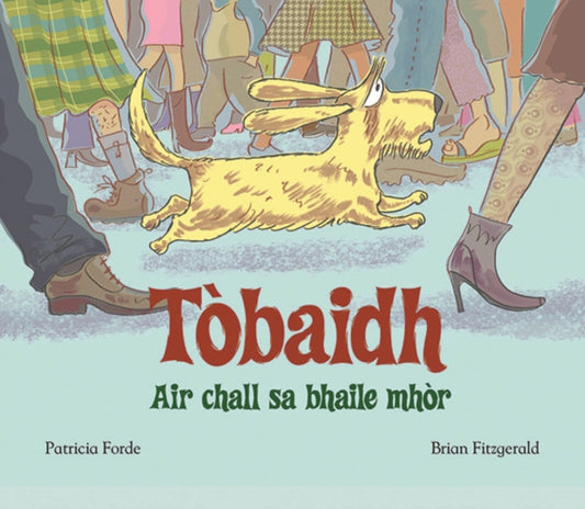 Book cover of: Tobaidh Air Chall Sa Bhaile Mhor. By: Patricia Forde