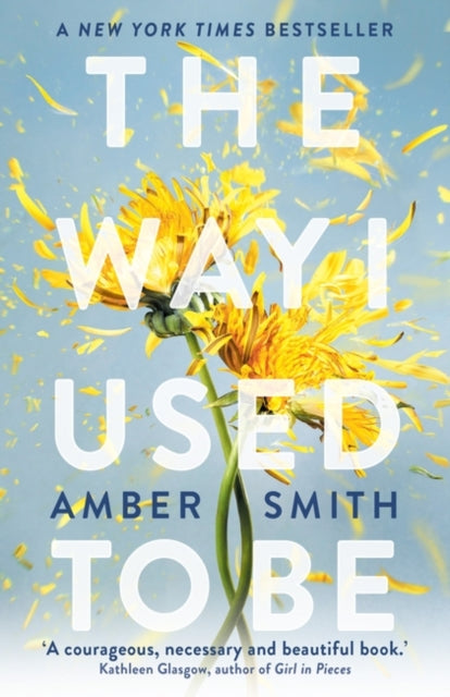 Way I Used to Be, The TikTok sensation 9780861546732 Amber Smith