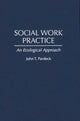 Book cover of: Social Work Practice