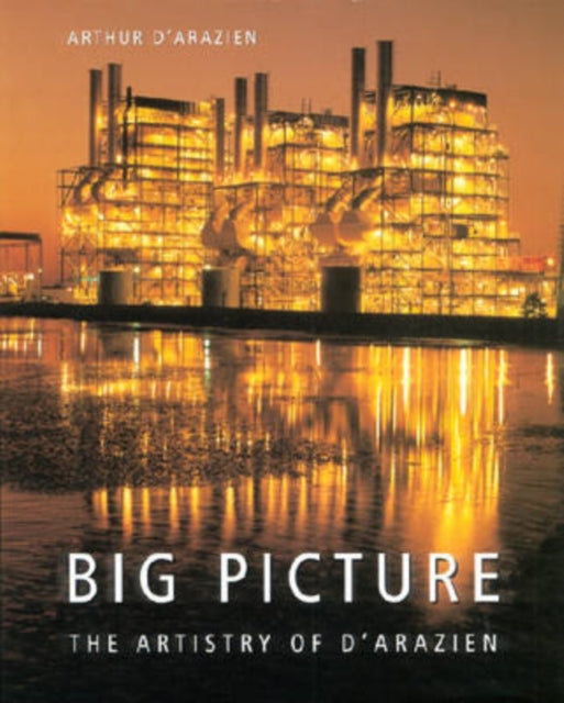 Book cover of: Big Picture. By: Arthur D'Arazien