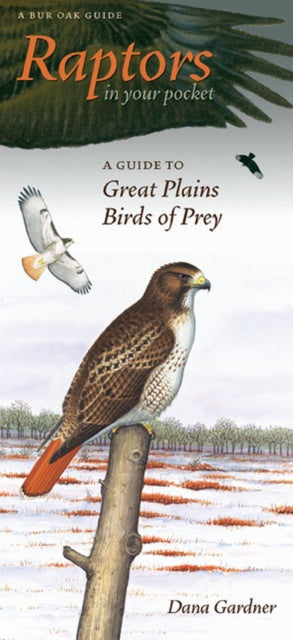 Book cover of: Raptors in Your Pocket. By: Dana Gardner