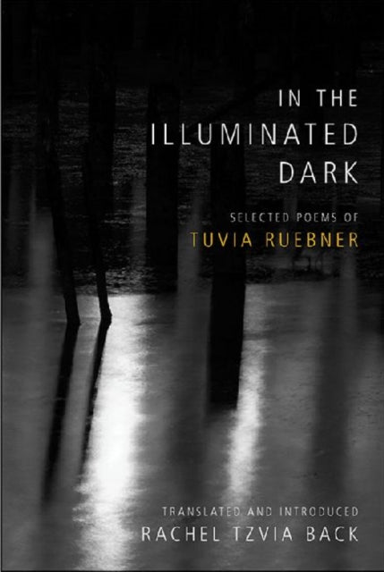 Book cover of: In the Illuminated Dark