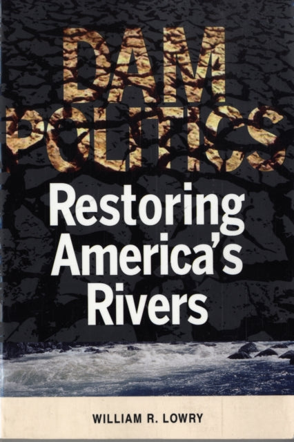 Book cover of: Dam Politics