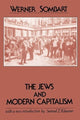 Book cover of: Jews and Modern Capitalism