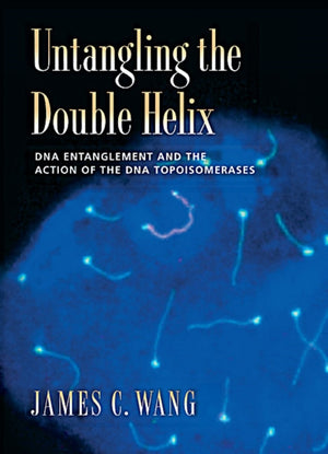 Untangling the Double Helix