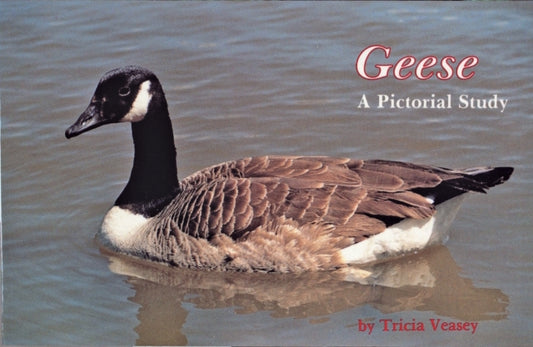 Book cover of: Geese. By: Tricia Veasey