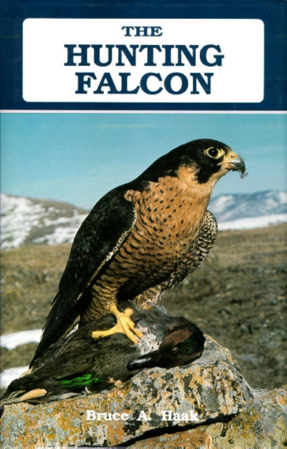 Book cover of: Hunting Falcon. By: Bruce A. Haak