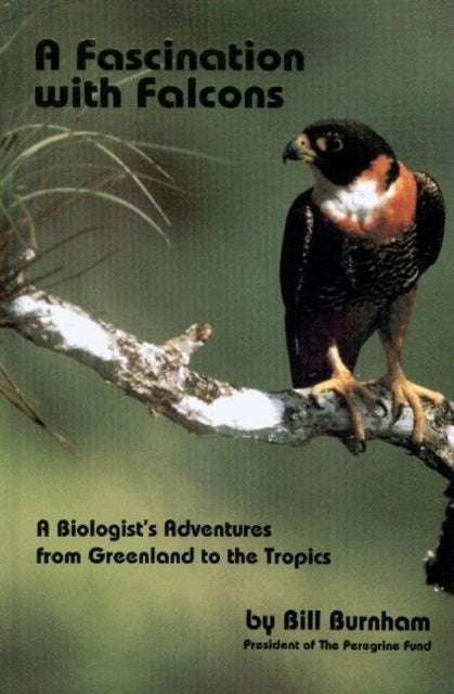 Book cover of: Fascination with Falcons. By: William Burnham