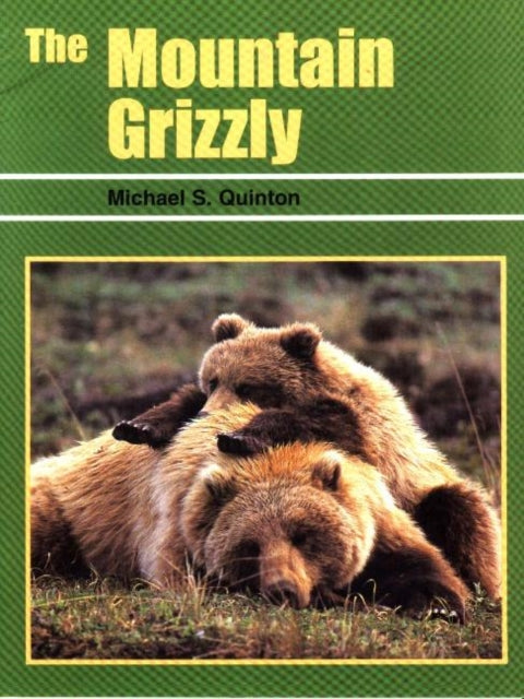 Book cover of: Mountain Grizzly. By: Michael Quinton