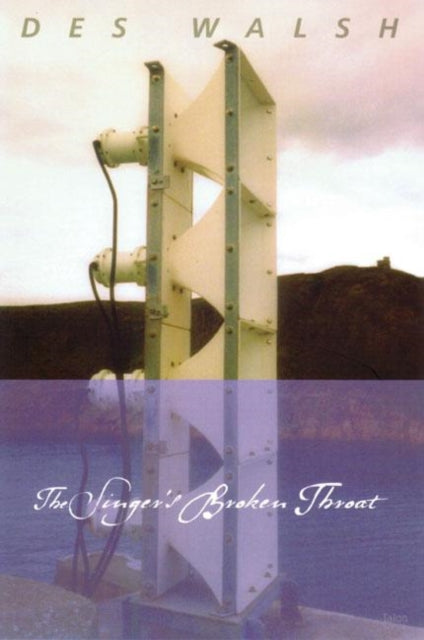 Book cover of: Singer's Broken Throat