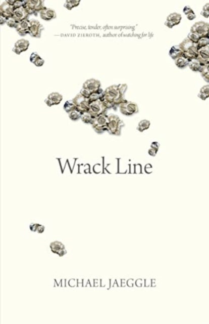 Book cover of: Wrack Line. By: M. W. Jaeggle