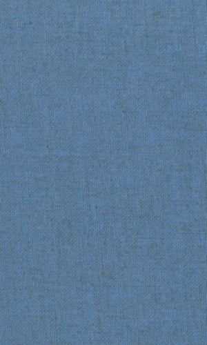 The Greek Prothetic Vowel