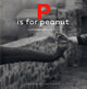 Book cover of: P is for Peanut – A Photographic ABC. By: Lisa Gelber