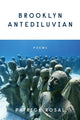 Book cover of: Brooklyn Antediluvian. By: Patrick Rosal