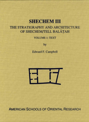 Shechem III