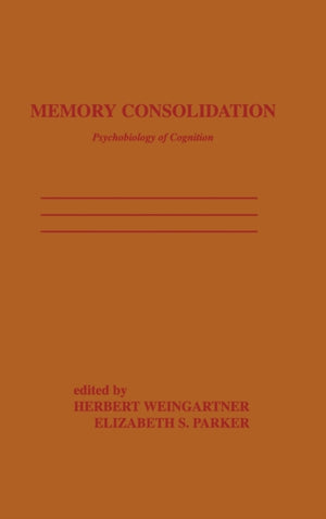 Memory Consolidation
