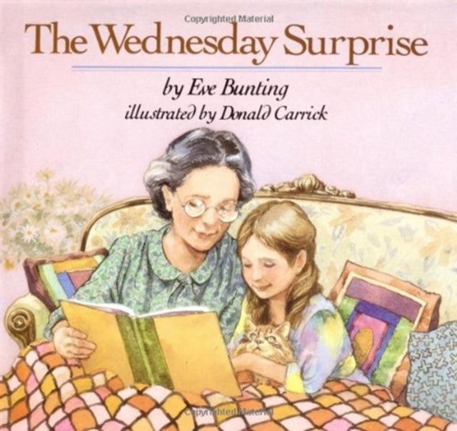 Book cover of: Wednesday Surprise
