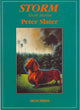 Book cover of: Storm
