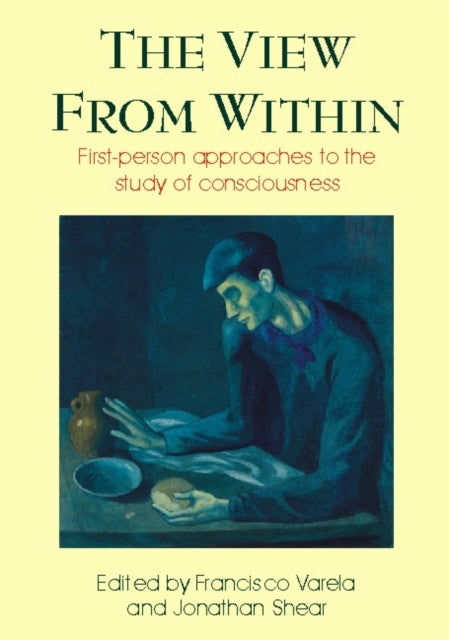 Book cover of: View from Within