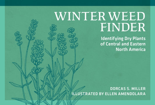 Book cover of: Winter Weed Finder. By: Dorcas S. Miller