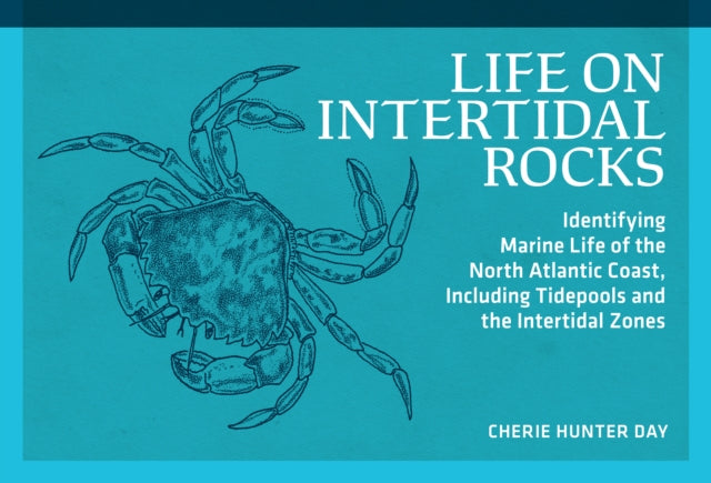 Book cover of: Life on Intertidal Rocks