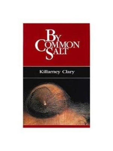 Book cover of: By Common Salt. By: Killarney Clary
