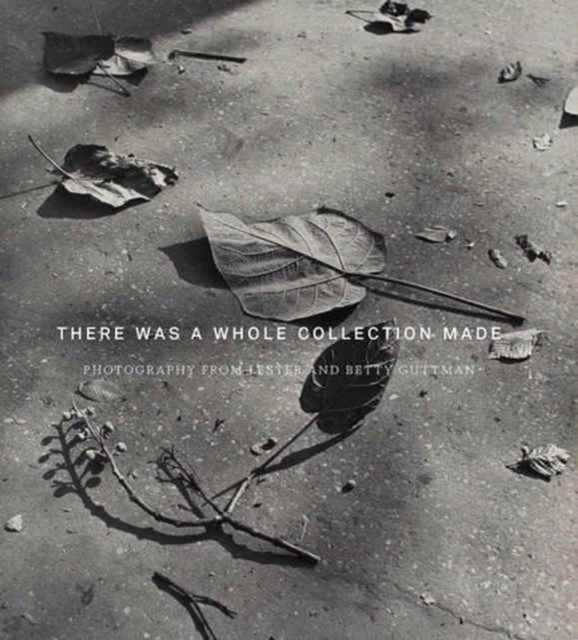 Book cover of: There Was a Whole Collection Made. By: Laura Letinsky