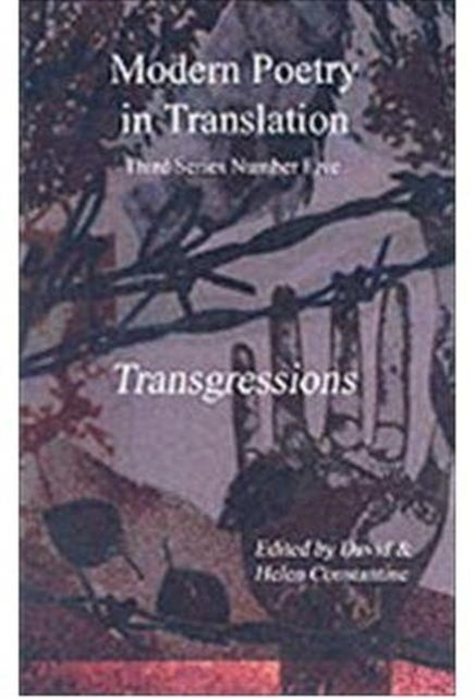 Book cover of: Transgressions. By: David J. Constantine