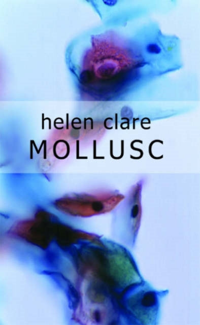 Book cover of: Mollusc