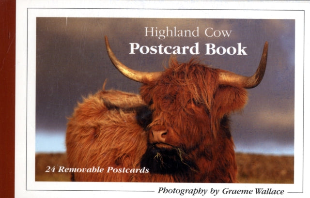 Book cover of: Highland Cow Postcard Book