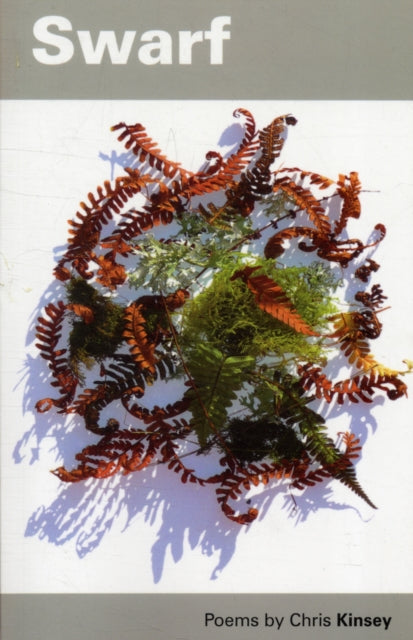 Book cover of: Swarf. By: Chris Kinsey
