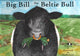 Book cover of: Big Bill the Beltie Bull