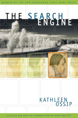 Search Engine