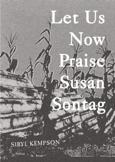 Book cover of: Let Us Now Praise Susan Sontag. By: Sibyl Kempson