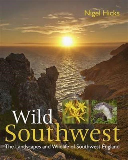 Book cover of: Wild Southwest