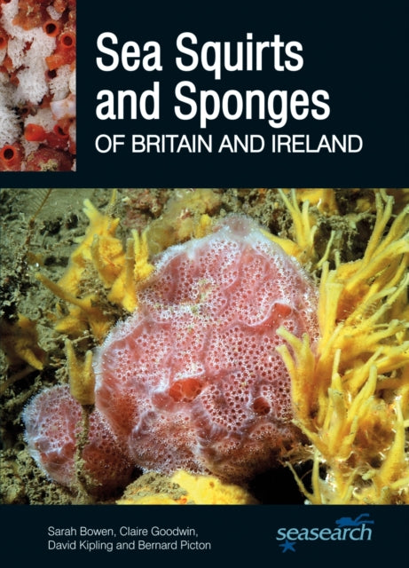 Book cover of: Sea Squirts and Sponges of Britain and Ireland. By: Sarah Bowen