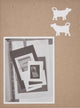 Book cover of: Working Through Objects. By: Susan Hiller
