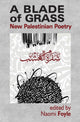 Rohutera: uus palestiina luule