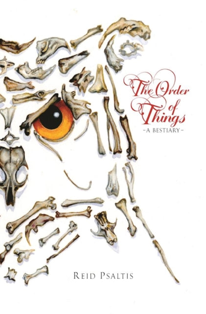Book cover of: Order of Things. By: Reid Psaltis