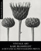Book cover of: Vintage Art. By: Vintage Revisited Press