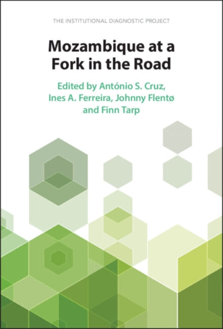 Book cover of: Mozambique at a Fork in the Road. By: António S. Cruz