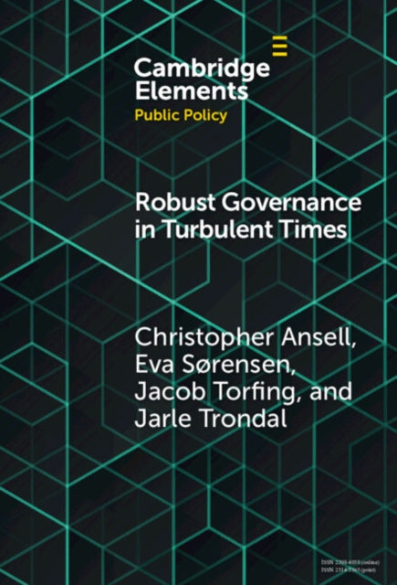 Book cover of: Robust Governance in Turbulent Times