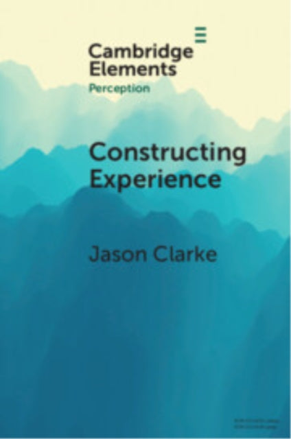 Book cover of: Constructing Experience. By: Jason Clarke