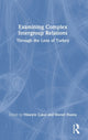 Book cover of: Examining Complex Intergroup Relations. By: Hüseyin Çakal