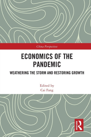 Economics of the Pandemic