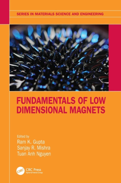 Book cover of: Fundamentals of Low Dimensional Magnets. By: Ram K. Gupta