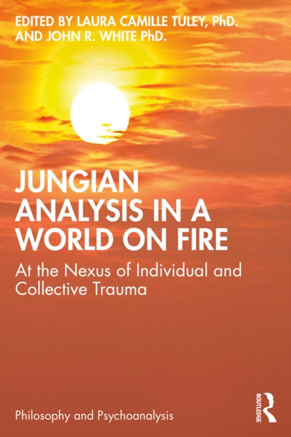 Book cover of: Jungian Analysis in a World on Fire